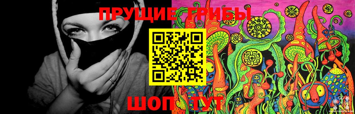 Галлюциногенные грибы Cubensis  Галлюциногенные грибы MAGIC MUSHROOMS  Вход с VPN  Самара 
